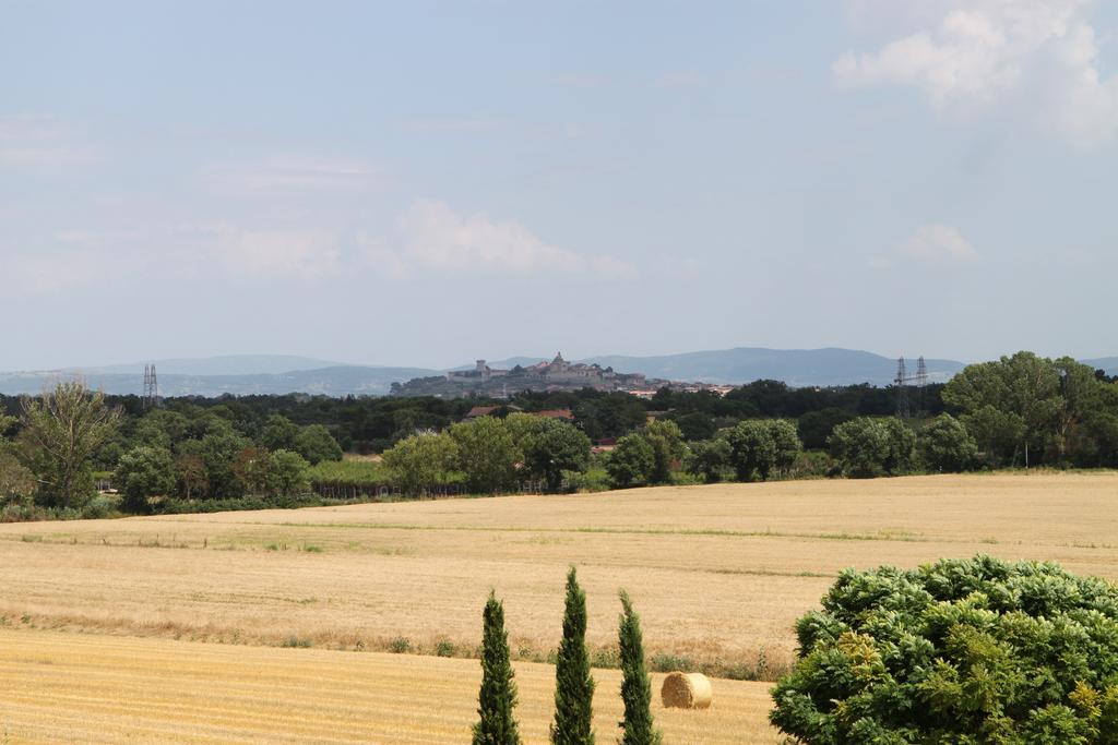 Agriturismo Verbena Castiglione del Lago Exterior foto