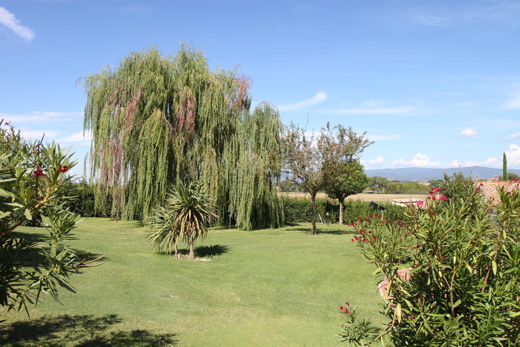Agriturismo Verbena Castiglione del Lago Exterior foto